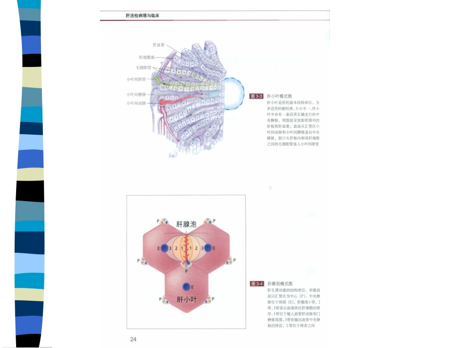 肝癌与肝炎关系_第4页