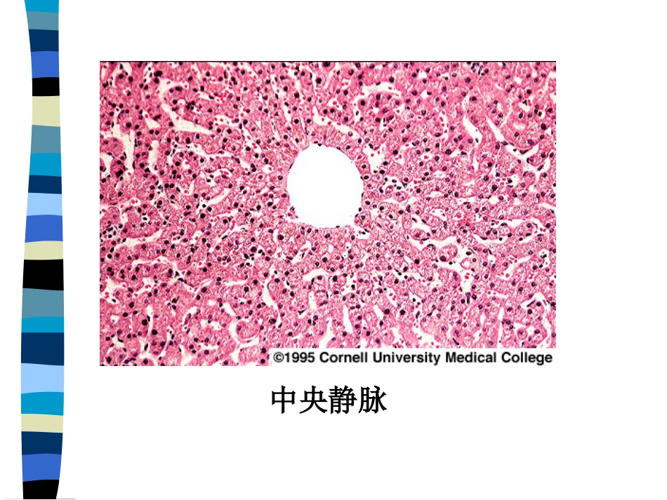肝癌与肝炎关系_第6页