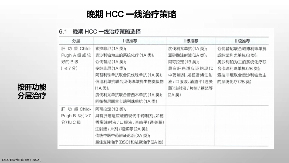 肝癌疾病基础知识_第13页