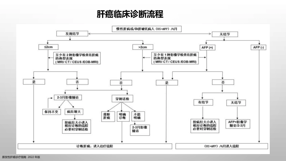肝癌疾病基础知识_第8页