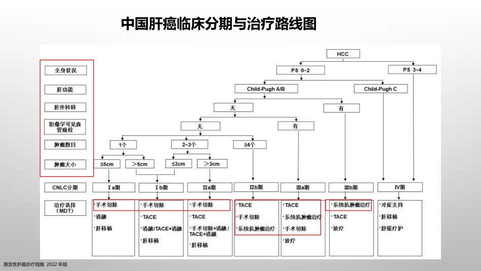 肝癌疾病基础知识_第9页