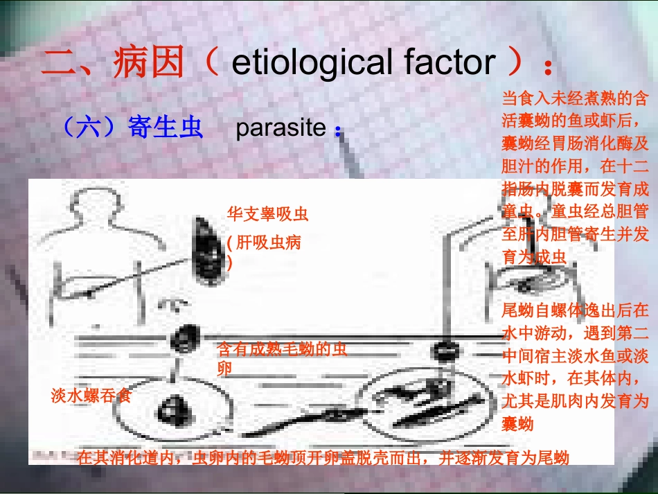 肝癌的诊断与综合治疗_第10页