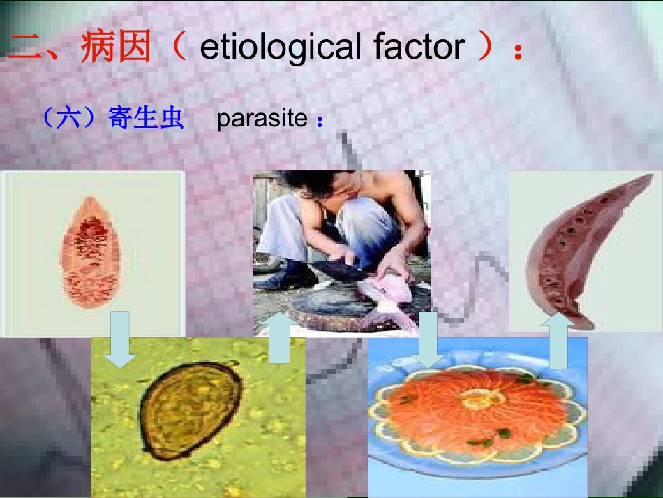 肝癌的诊断与综合治疗_第11页