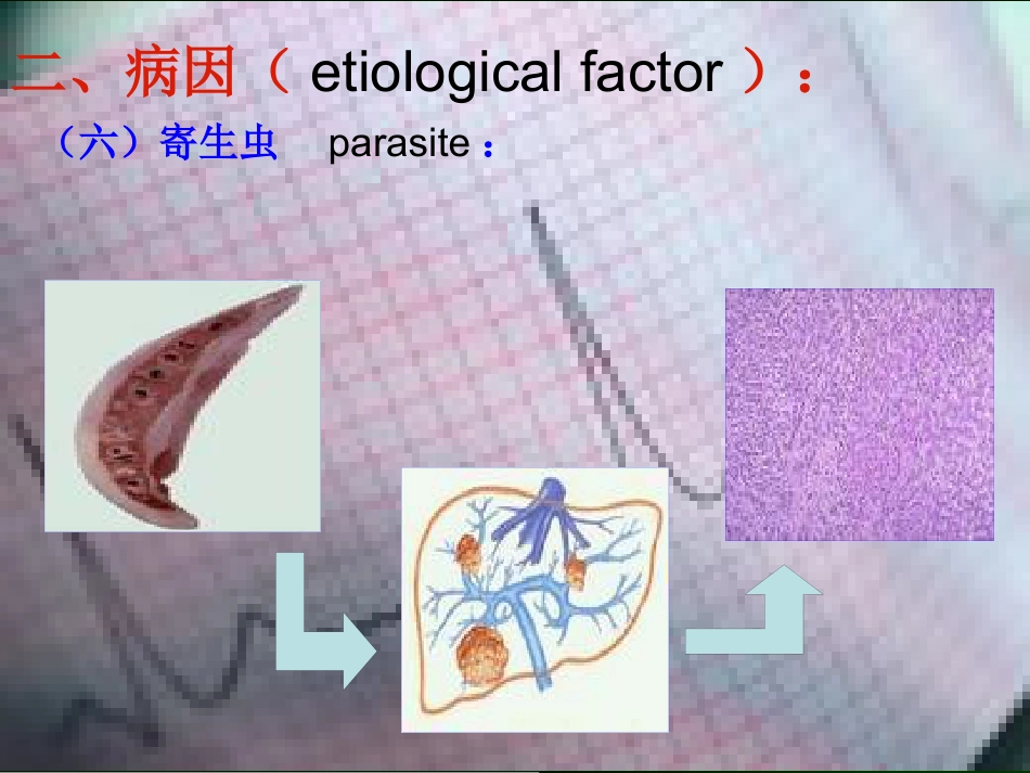 肝癌的诊断与综合治疗_第12页