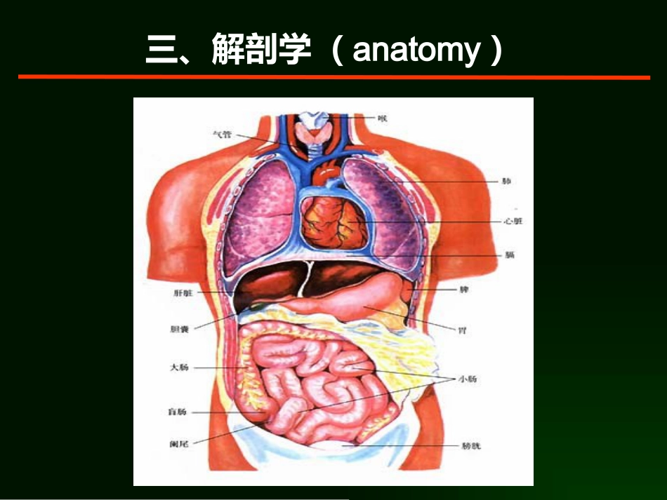 肝癌的诊断与综合治疗_第14页