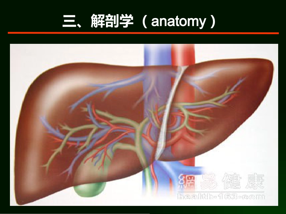 肝癌的诊断与综合治疗_第15页