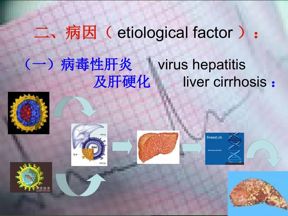 肝癌的诊断与综合治疗_第6页