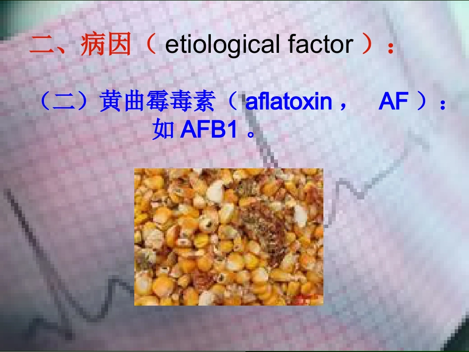 肝癌的诊断与综合治疗_第7页
