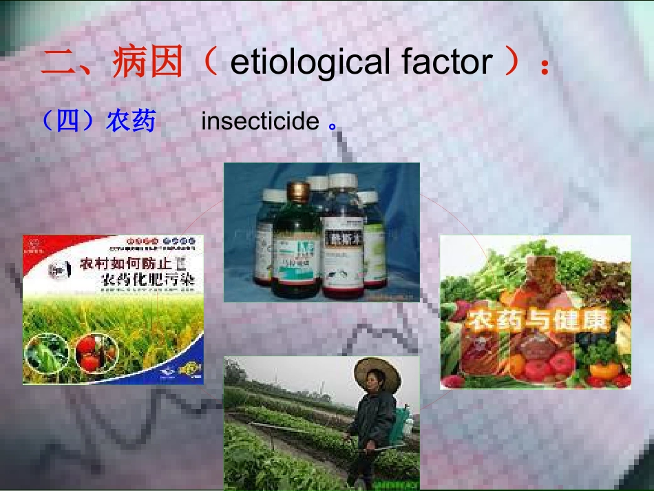肝癌的诊断与综合治疗_第8页