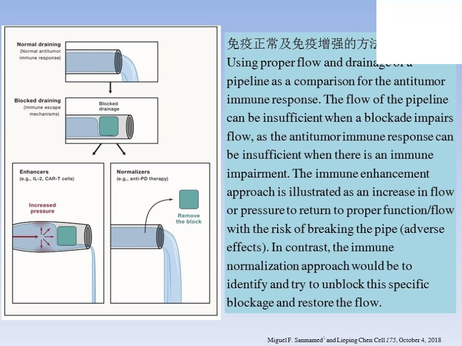 肝癌免疫治疗的假性进展探索_第5页