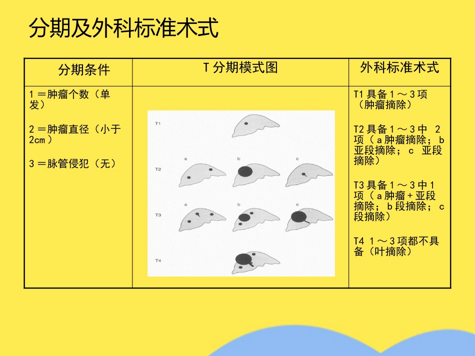 肝癌分期诊断(共53张PPT)_第5页