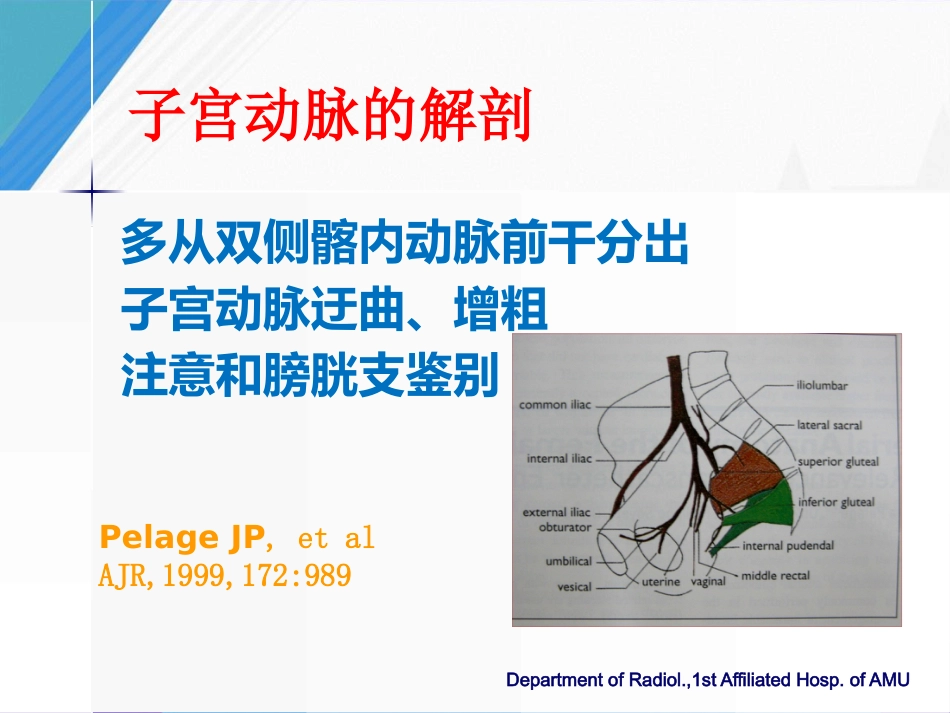 妇产科出血的介入治疗及预防_第13页