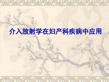 妇产科大出血的介入治疗ppt课件