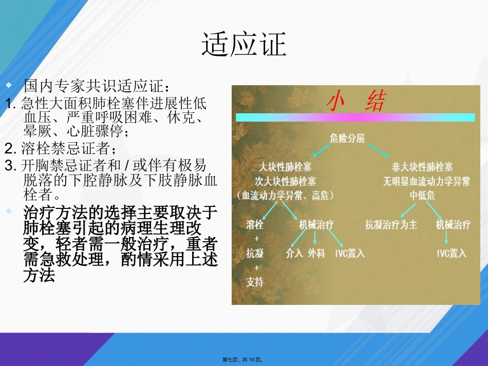 肺栓塞介入治疗讲课_第6页