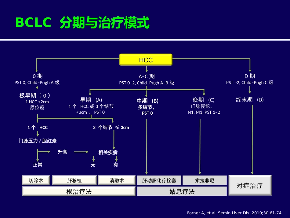 肝癌介入治疗PPT课件_第6页