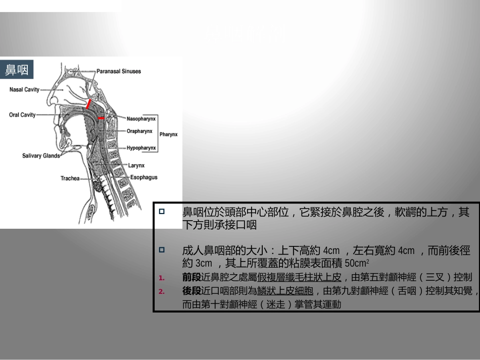 鼻咽癌的影像学诊断_第5页