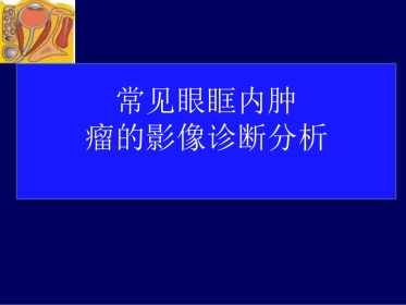 常见眼眶内肿瘤的影像诊断分析 ppt课件
