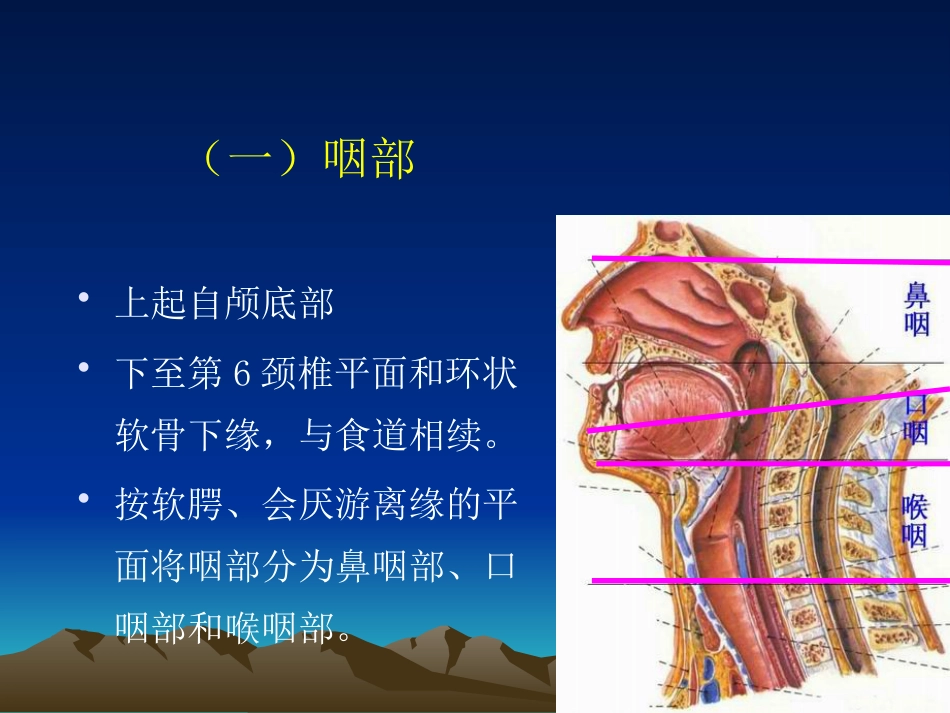 鼻咽癌影像学表现_第4页