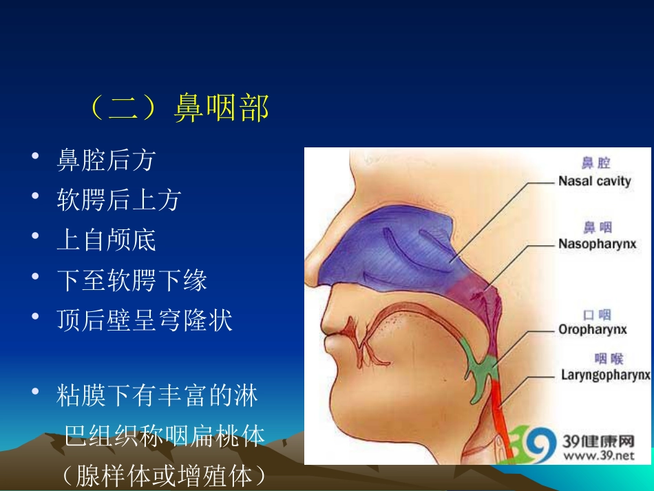 鼻咽癌影像学表现_第5页
