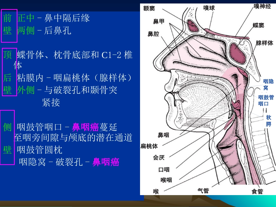 鼻咽癌影像学表现_第6页