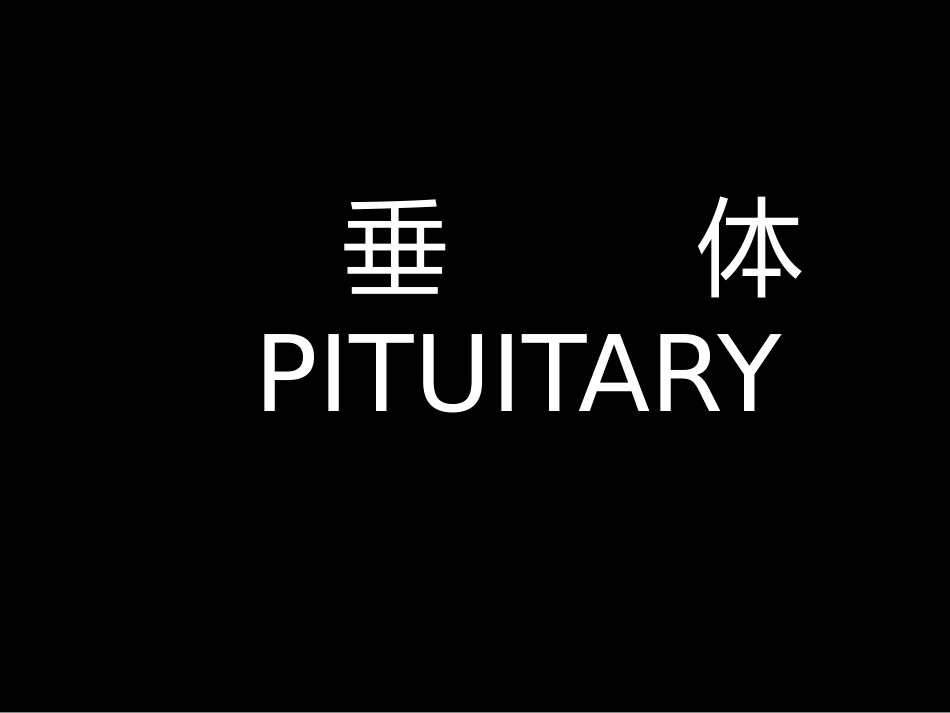 鞍区解剖-断层影像解剖ppt课件_第2页