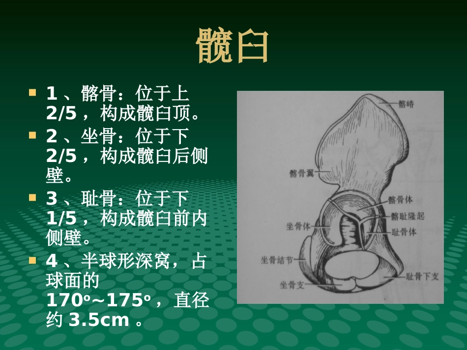 编辑股骨头缺血坏死影像学诊断_第7页