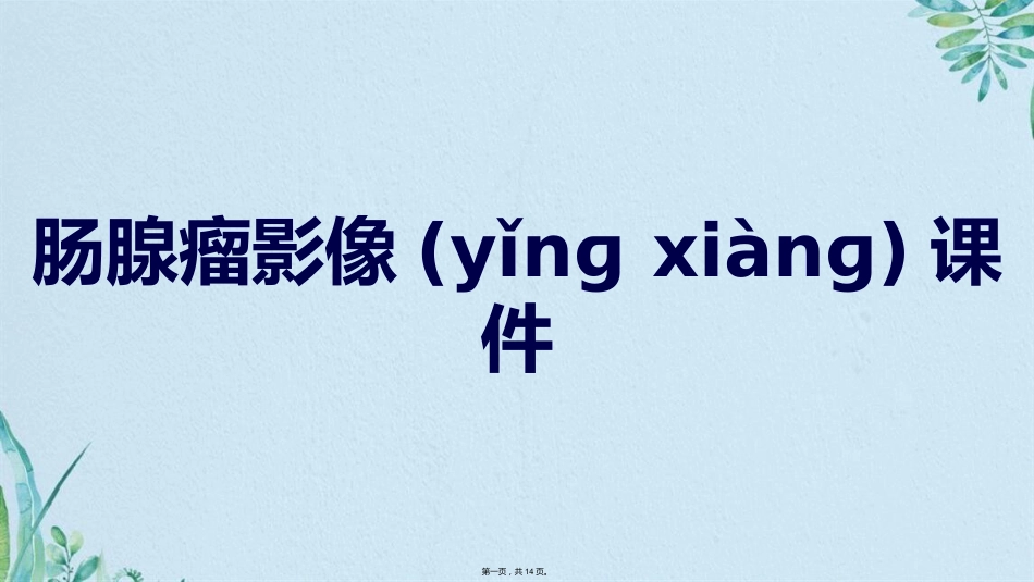 肠腺瘤影像_第1页