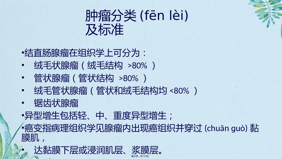 肠腺瘤影像_第3页