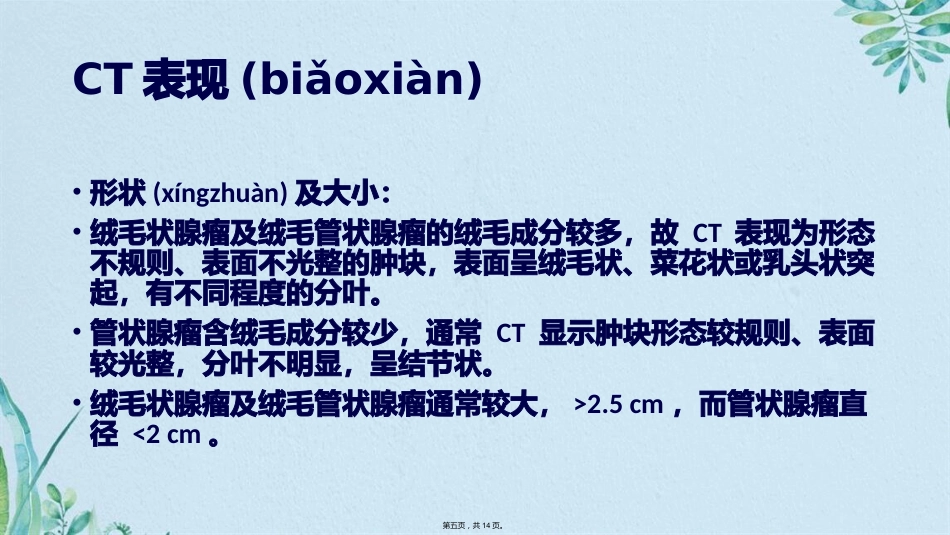 肠腺瘤影像_第5页