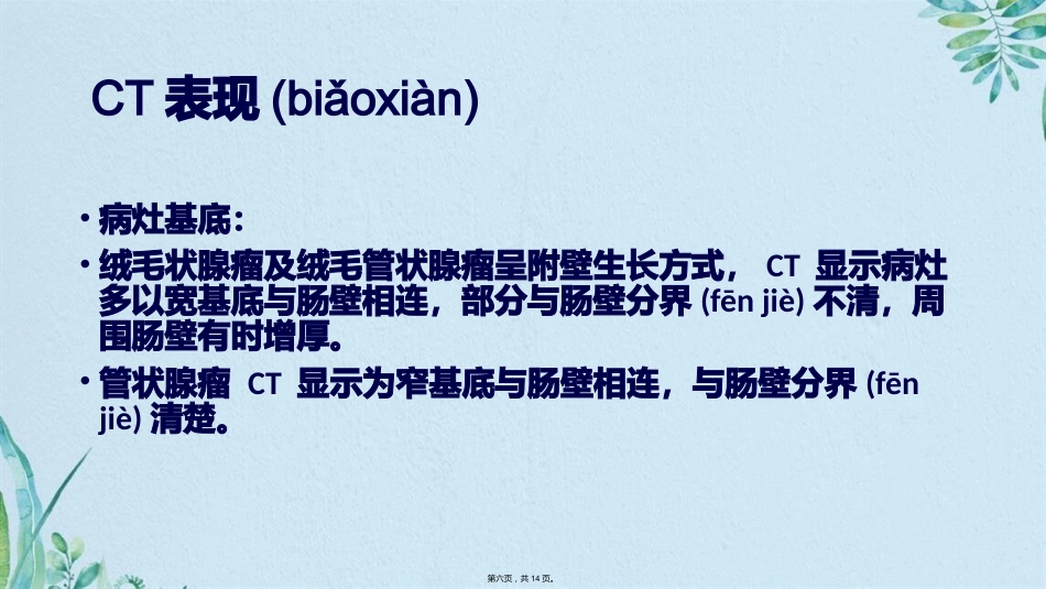 肠腺瘤影像_第6页
