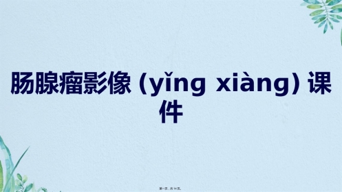 肠腺瘤影像