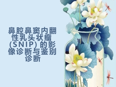 鼻腔鼻窦内翻性RU头状瘤(SNIP)的影像诊断与鉴别诊断
