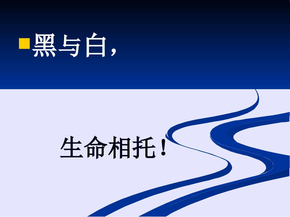 常见肺炎的影像诊断_第3页