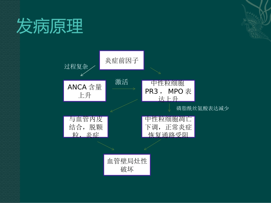 ANCA相关小血管炎在肺部影像学表现_第7页