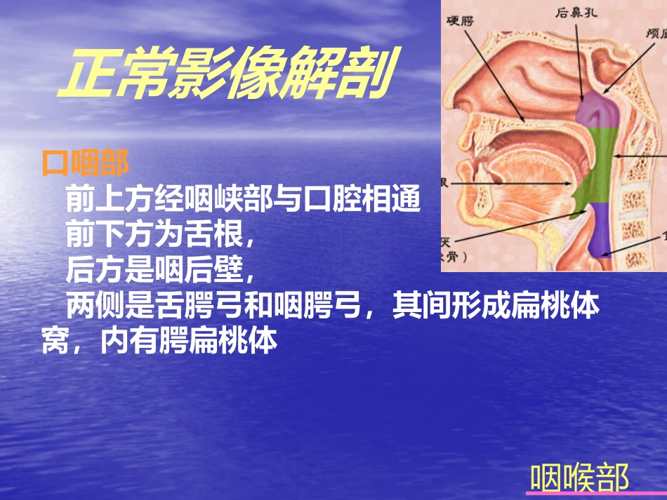 鼻咽癌的影像诊断_第12页