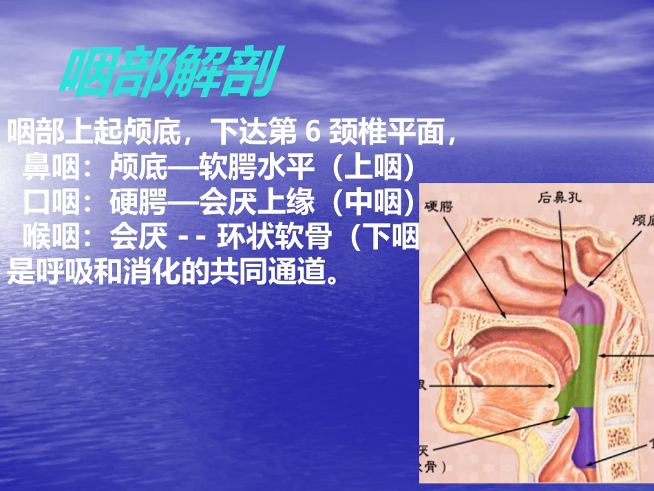 鼻咽癌的影像诊断_第2页