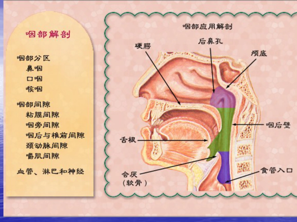 鼻咽癌的影像诊断_第3页
