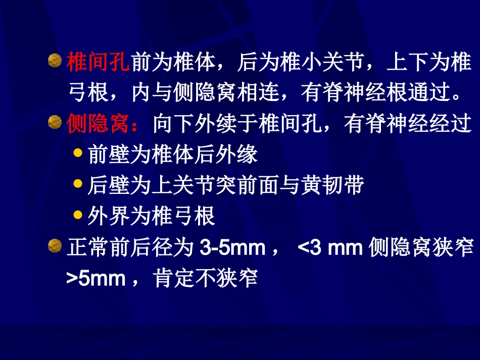 外影像与诊断学：腰椎影像解剖及常见病变_第11页