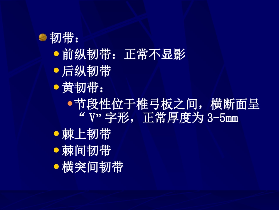 外影像与诊断学：腰椎影像解剖及常见病变_第5页