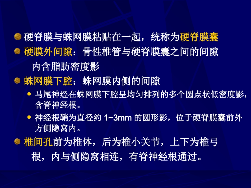 外影像与诊断学：腰椎影像解剖及常见病变_第8页