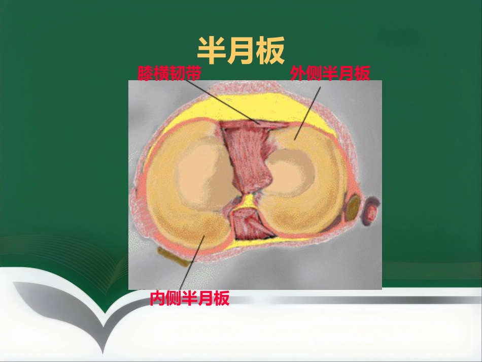 常见骨关节疾病MRI影像学表现_第10页