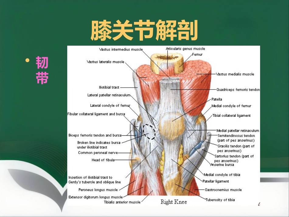 常见骨关节疾病MRI影像学表现_第2页