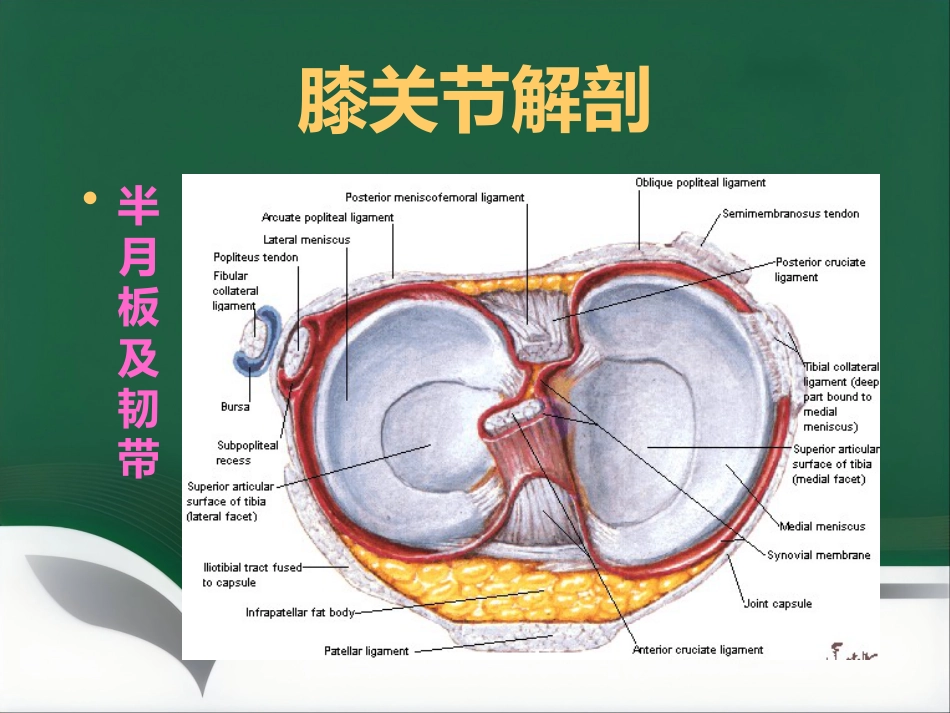 常见骨关节疾病MRI影像学表现_第3页