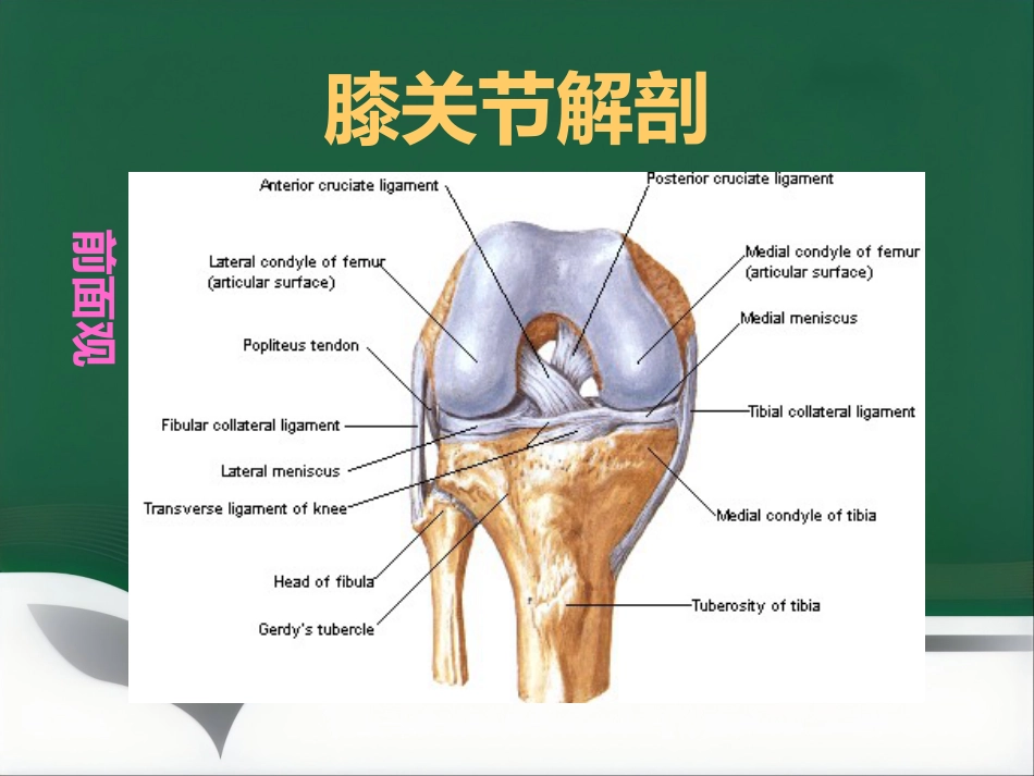 常见骨关节疾病MRI影像学表现_第4页