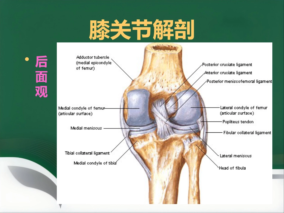 常见骨关节疾病MRI影像学表现_第5页