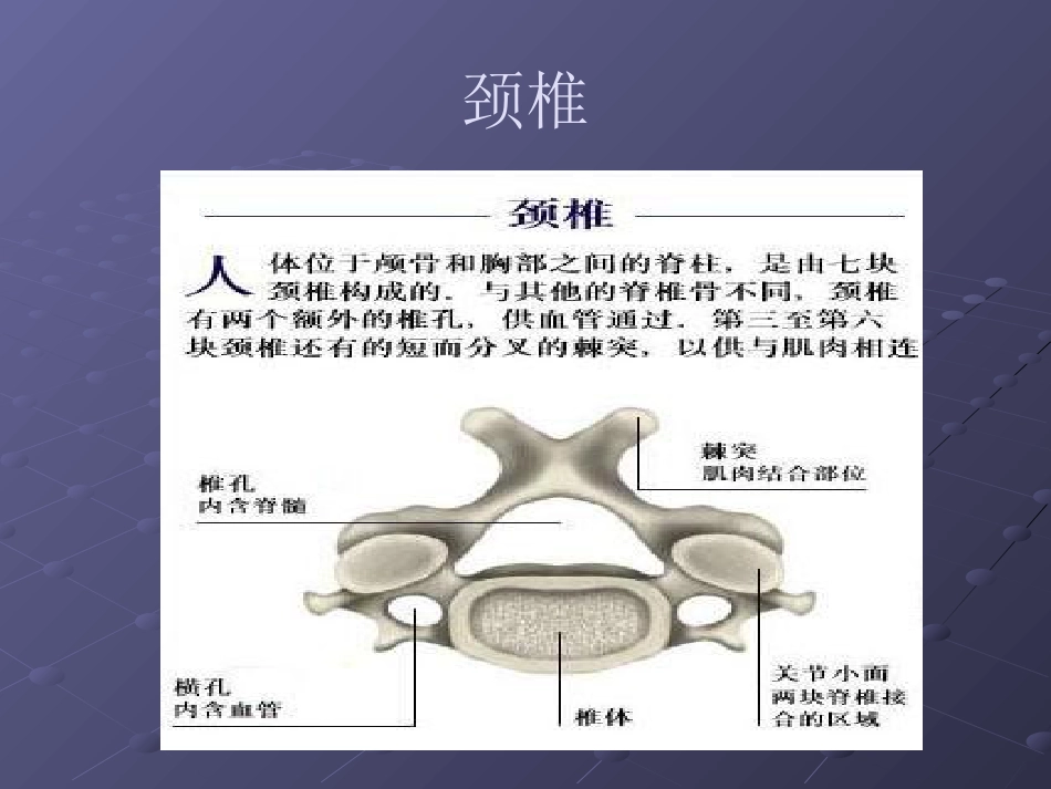 常见脊柱疾病影像学_第15页