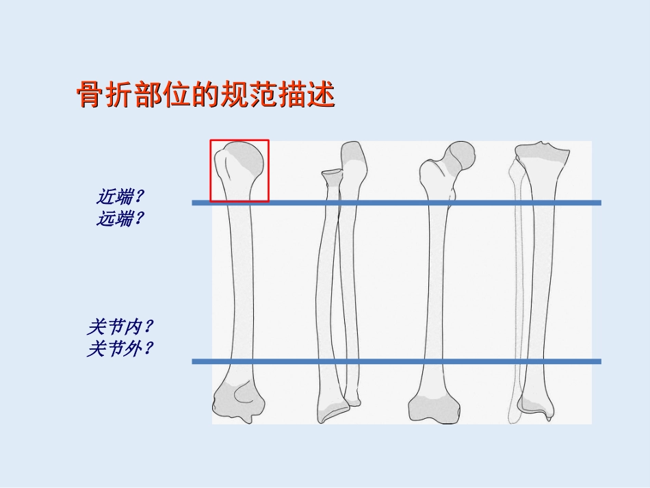 外影像与诊断学：创伤骨科X线片阅片技巧及易漏诊病例讨论_第11页