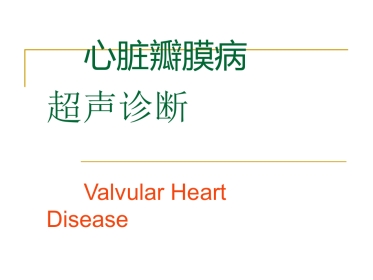 心脏瓣膜病超声诊断