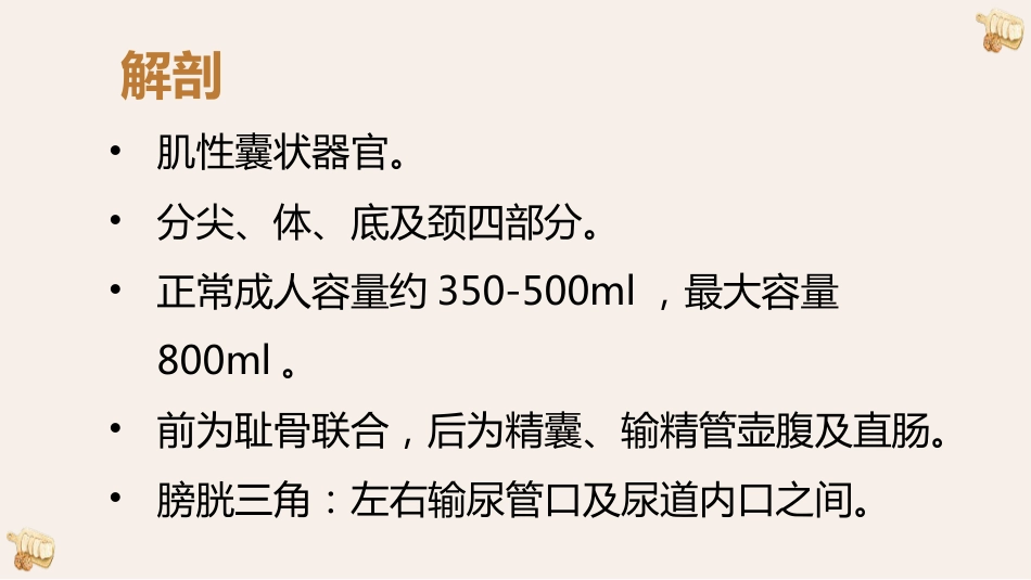 膀胱癌的影像诊断与鉴别诊断_第2页