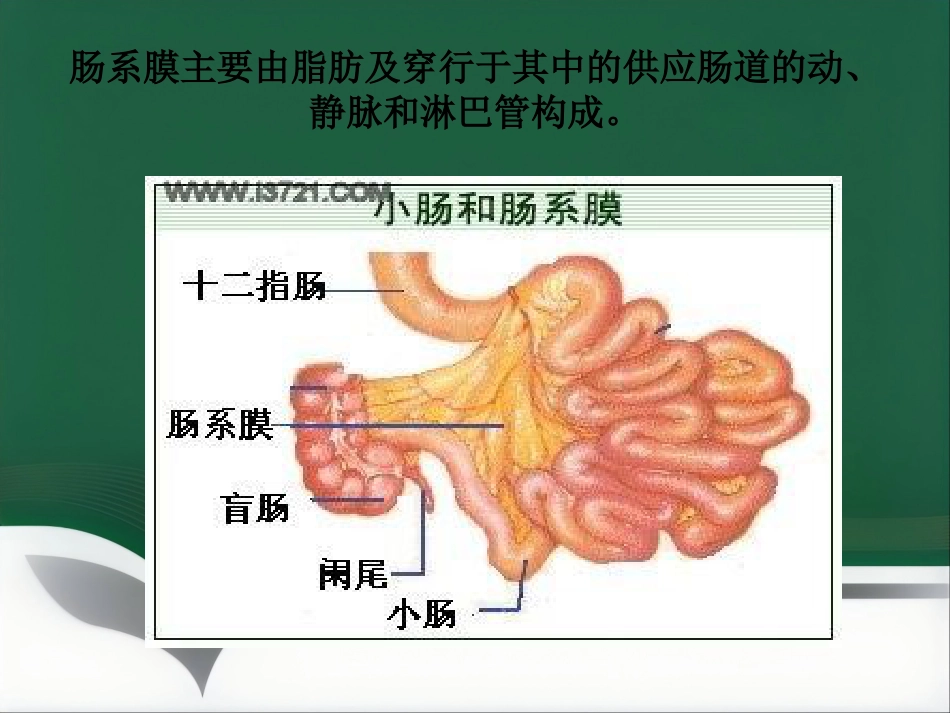 肠系膜脂膜炎的影像诊断PPT_第2页
